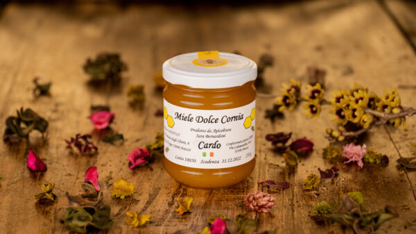 miele dolce cornia cardo